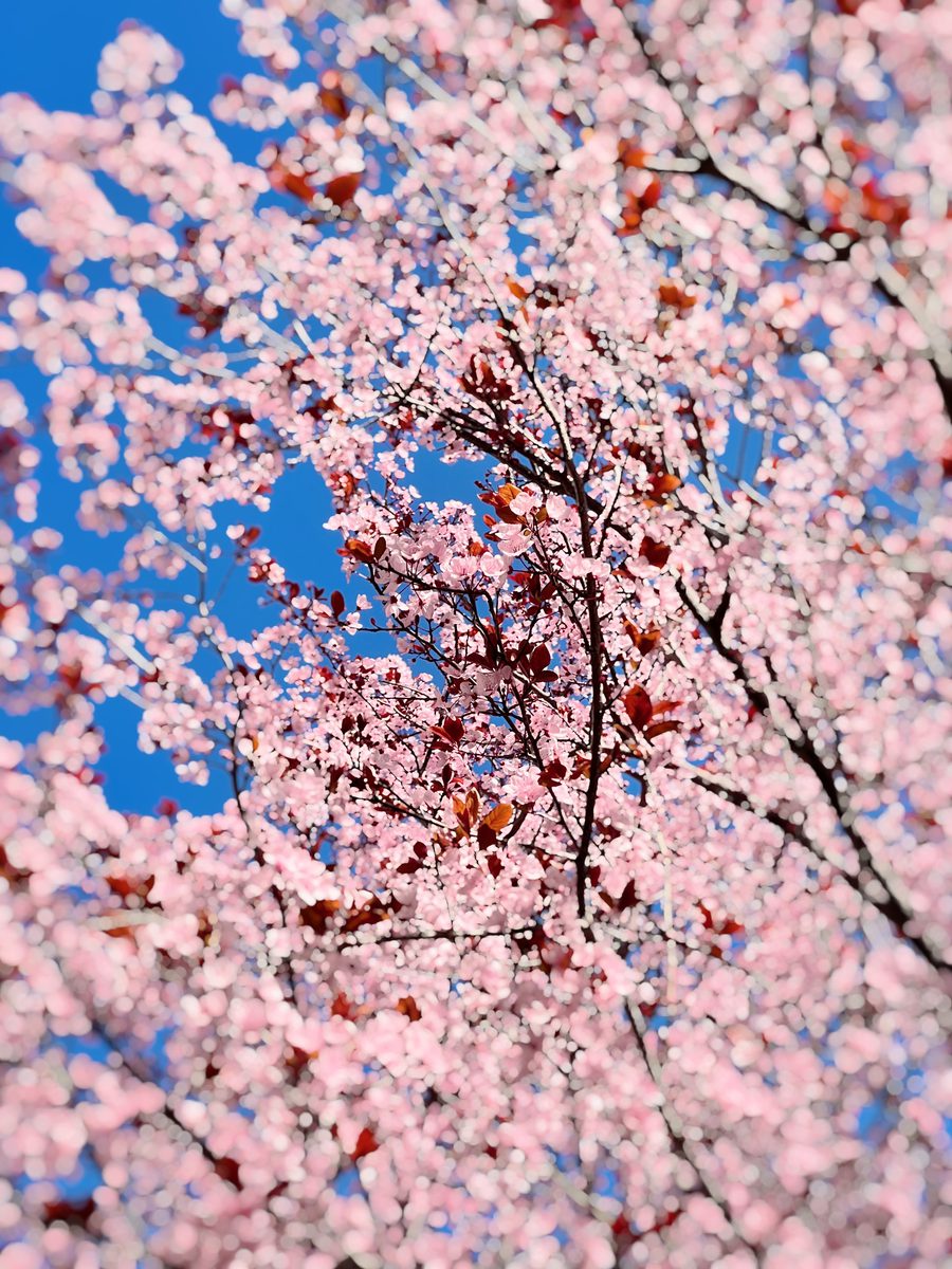 Landscape photograph 070