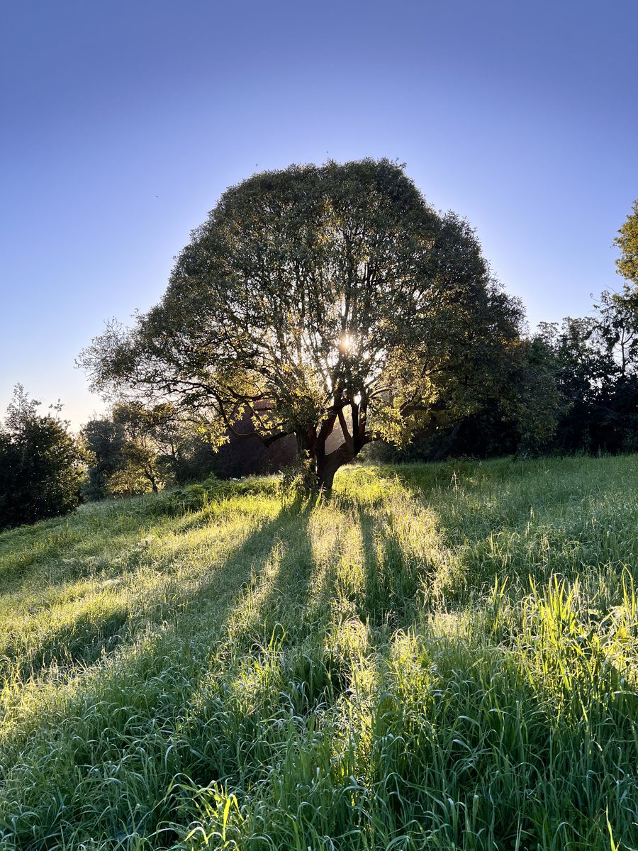 Landscape photograph 095