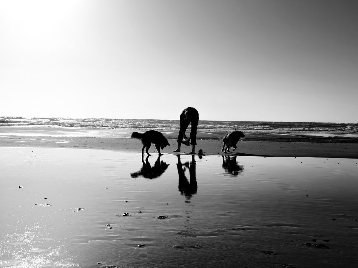Landscape photograph 103