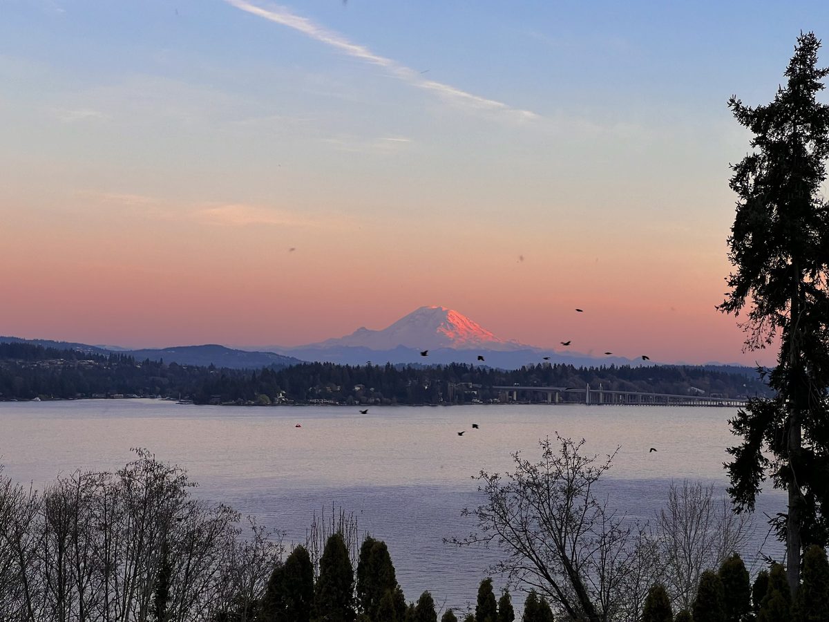 Landscape photograph 184