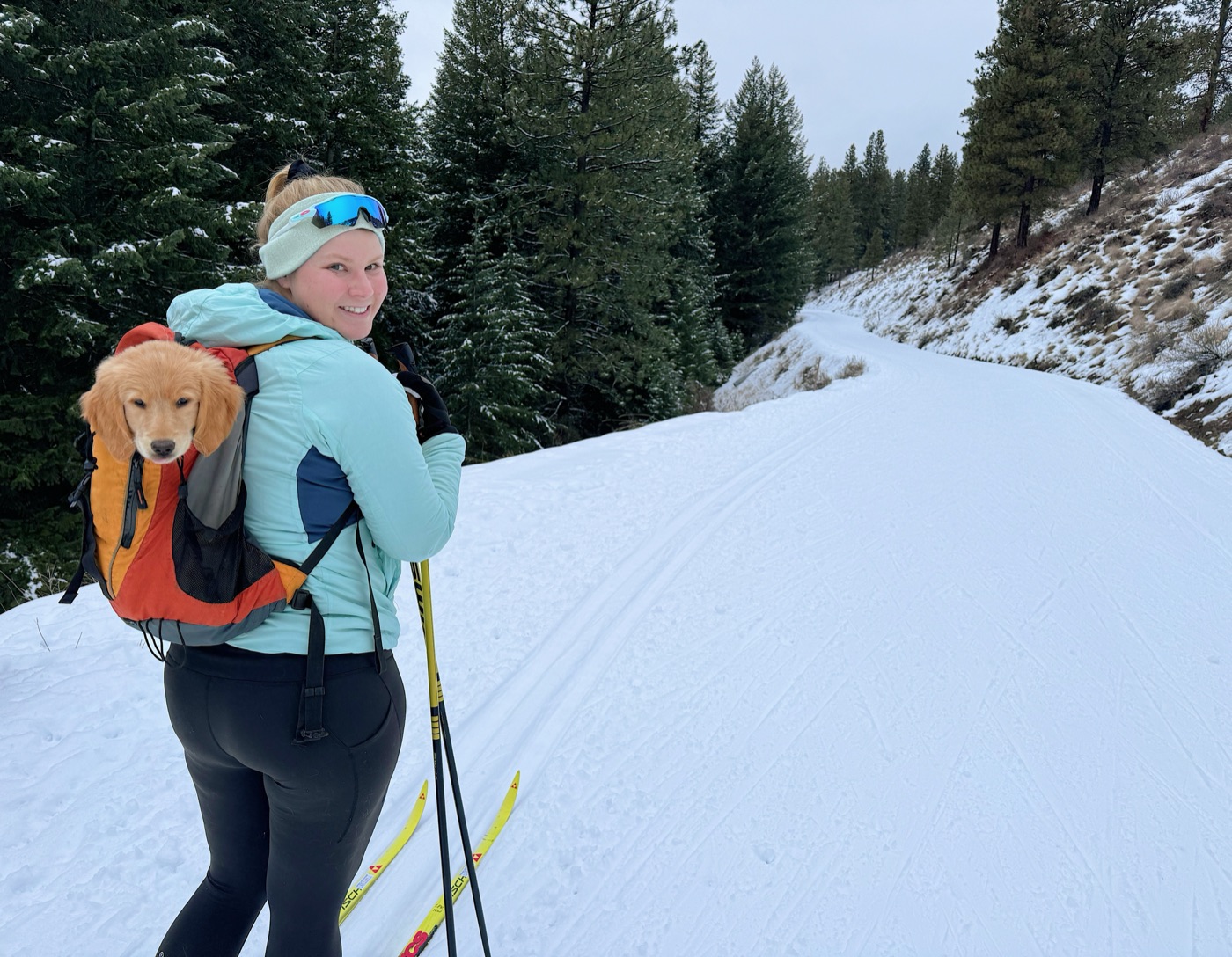 Skinning up a snowy trail with Layla in the backpack